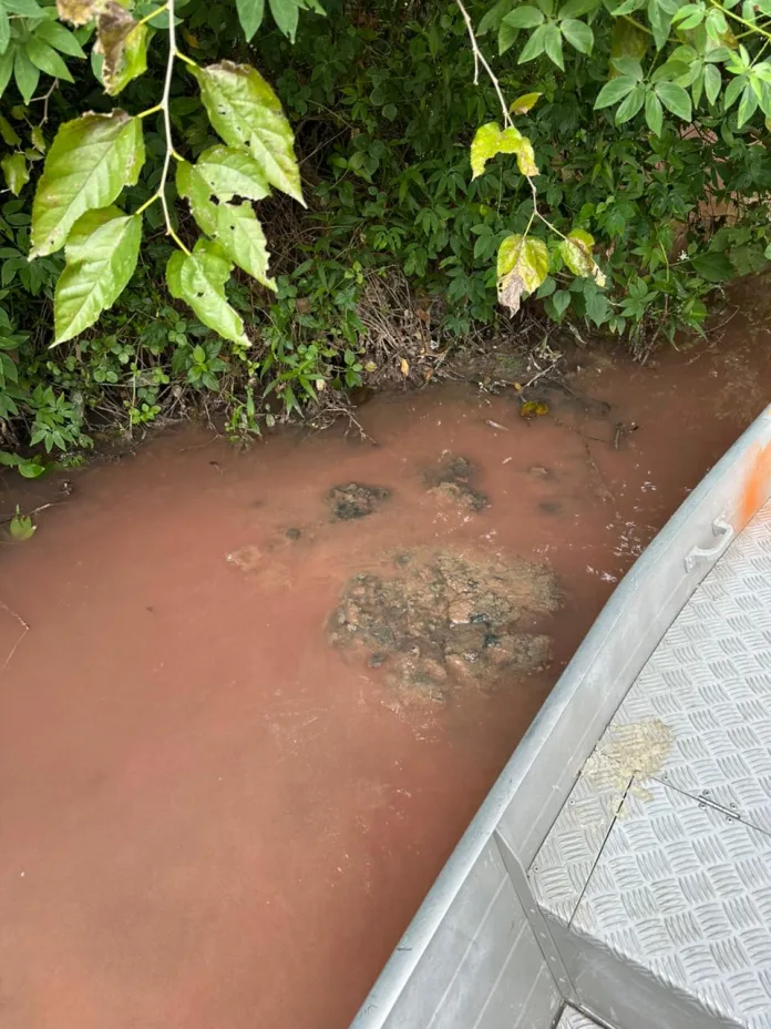 Prefeitura de Timbó aciona órgãos ambientais após denúncia no Rio Benedito