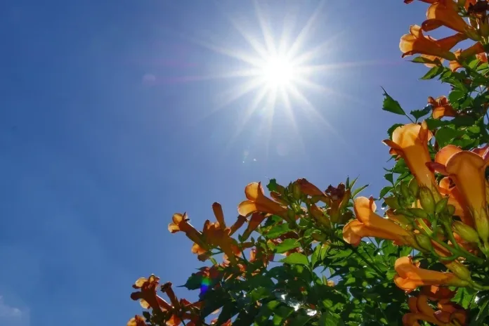 Final de semana com tempo ensolarado e temperaturas típicas de outono