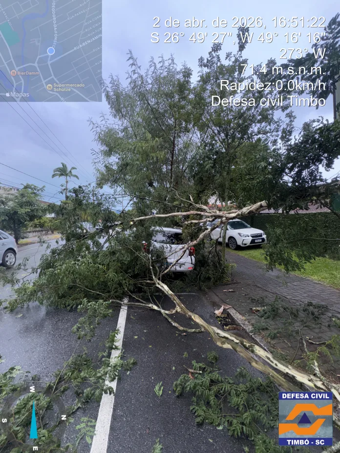 Defesa Civil de Timbó atua com agilidade e garante segurança após queda de árvores