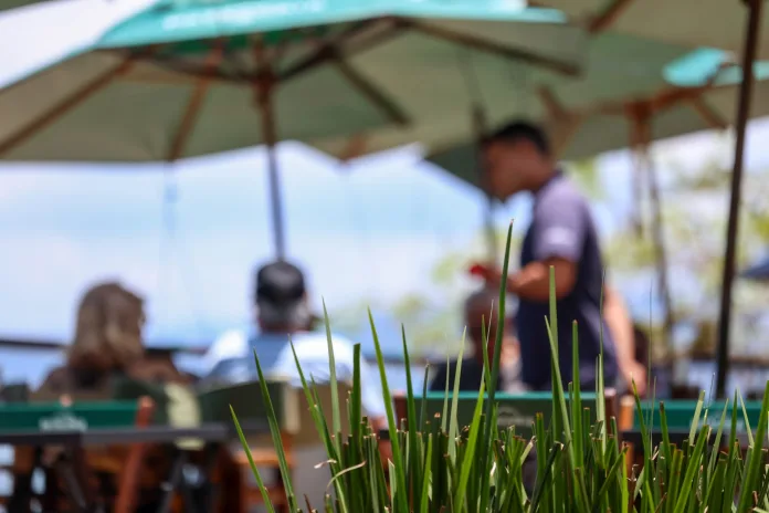 Bares e restaurantes: PROCON/SC lança cartilha com orientações sobre preços e direitos do consumidor