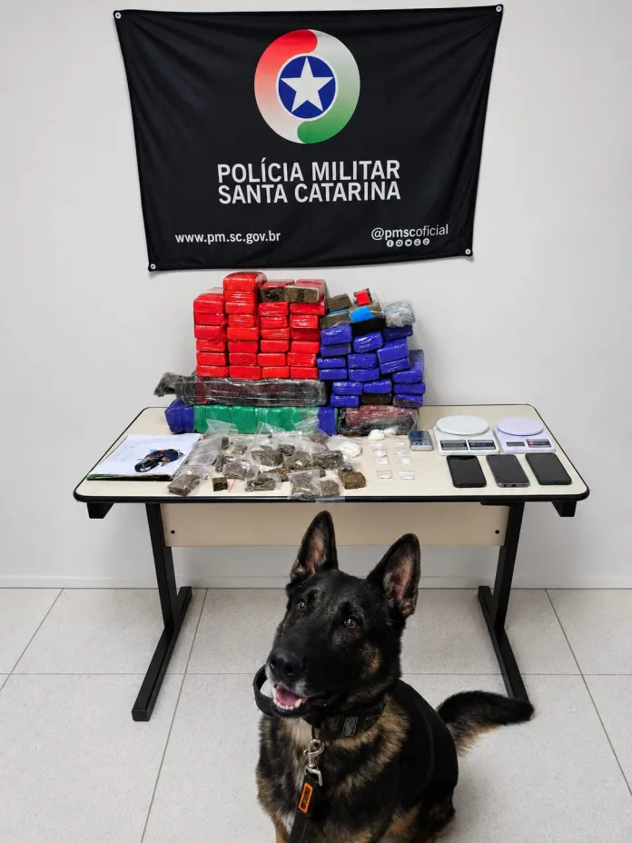 PM apreende 50 kg de maconha e cocaína e prende três suspeitos