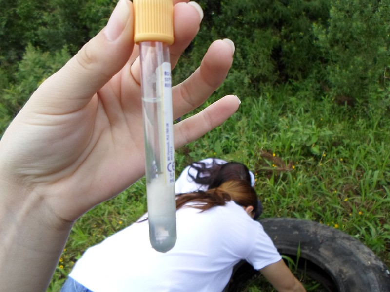 Indaial atualiza boletim da dengue com 665 focos identificados